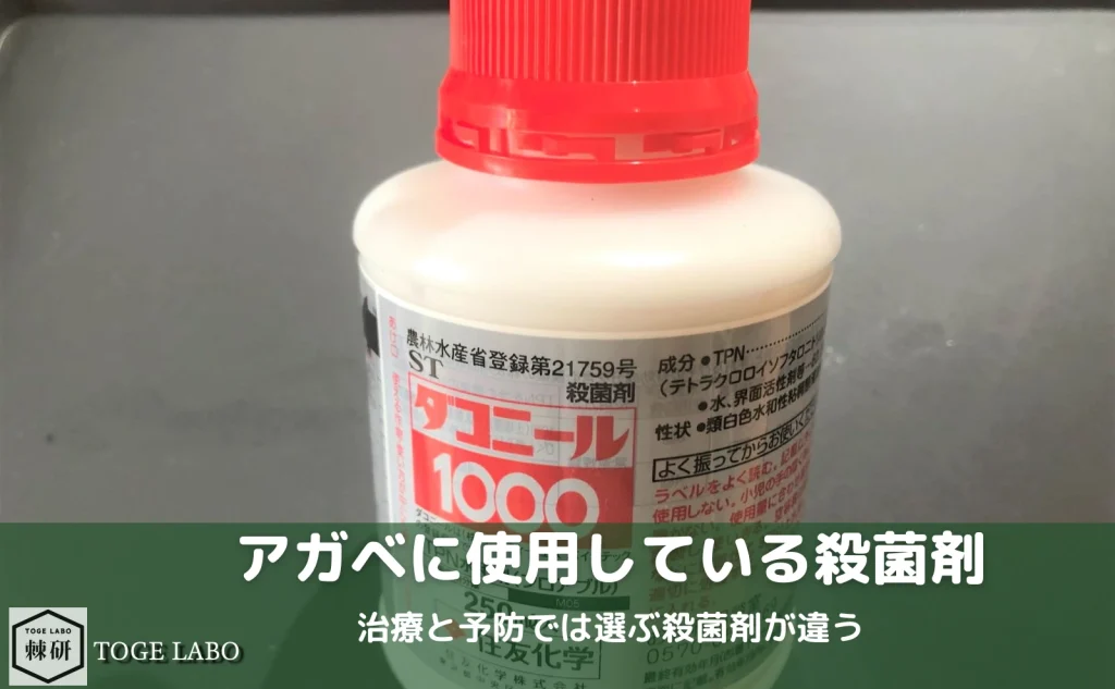 アガベに使用している殺菌剤の一覧