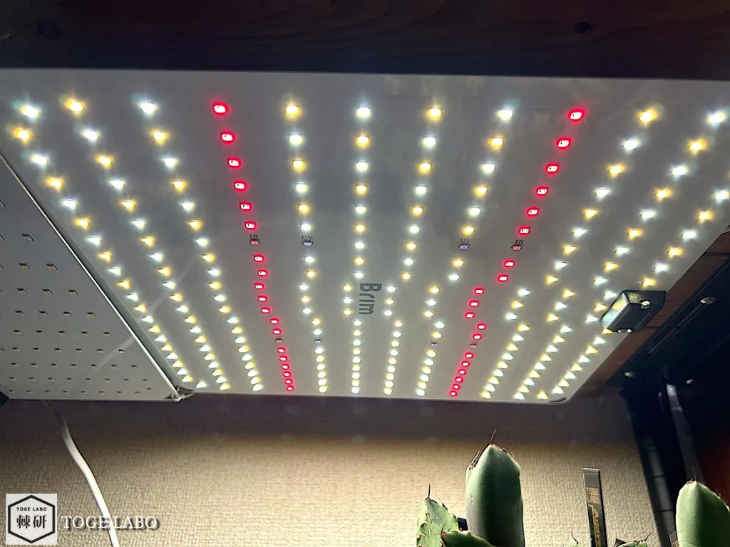 ２セット アガベ　植物用ライト　LEDライト　BRIM アガベ子株のLED｜BRIM パネル植物育成ライト コスパ最強